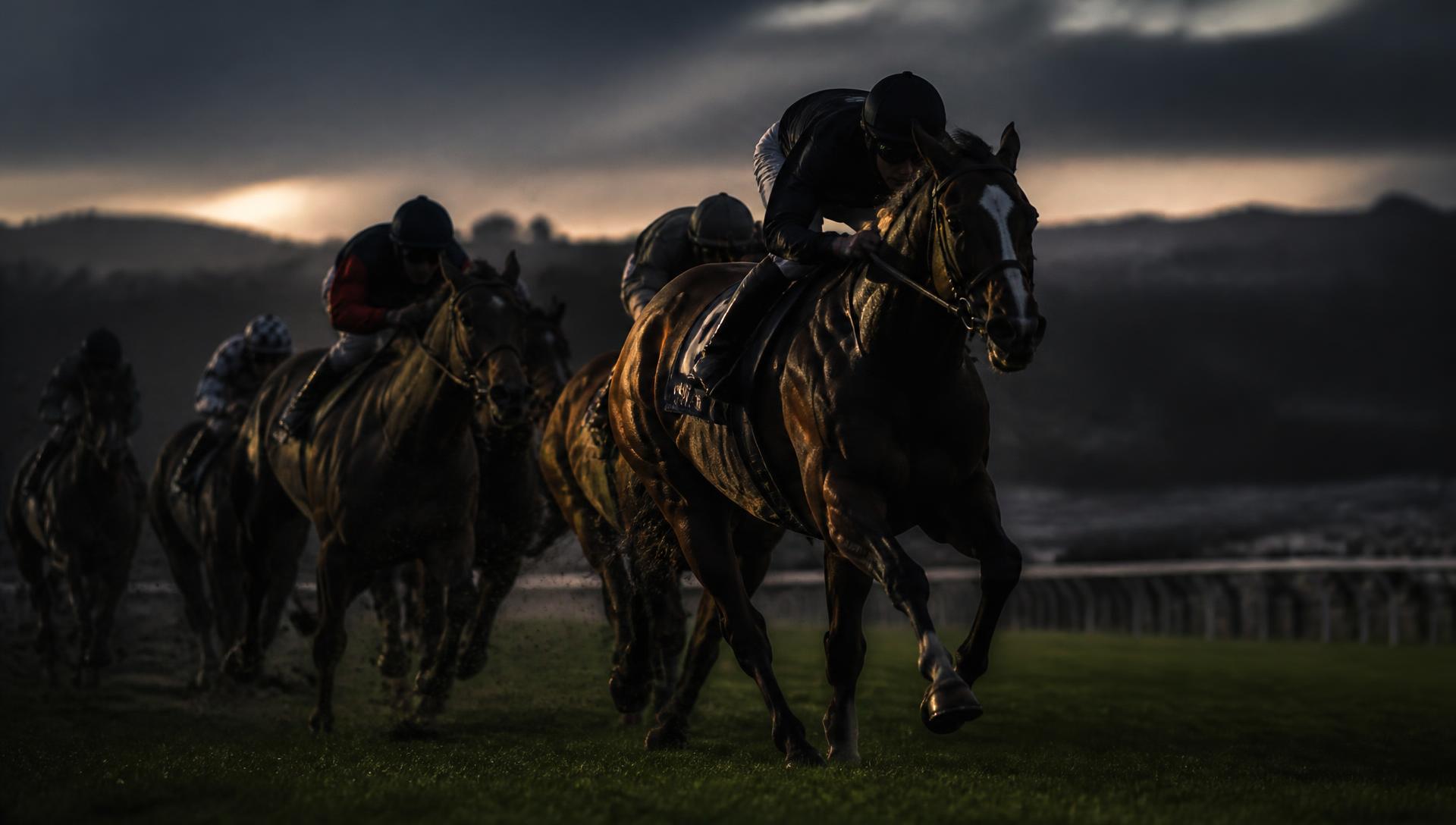 Racehorses and jockeys driving to the line at dusk